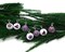 Mini Christmas Ornaments, 8 pieces in Purple for Miniature Trees, Hooks Included, Adorabilities